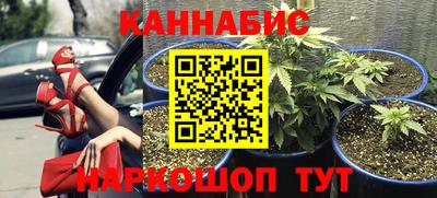 ALPHA PVP Нальчик