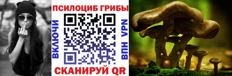 Псилоцибиновые грибы GOLDEN TEACHER Буйнакск