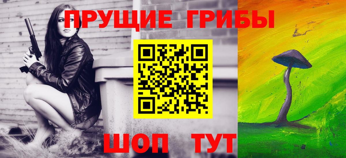 Галлюциногенные грибы GOLDEN TEACHER  Псилоцибиновые грибы Magic Shrooms  Вход с VPN  Буйнакск 