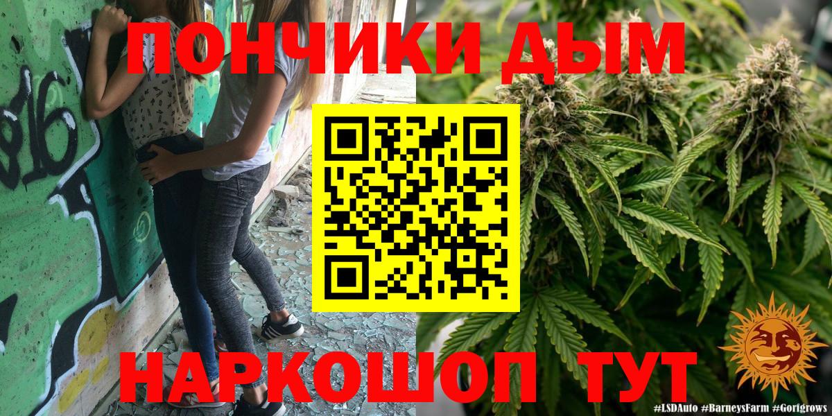Бошки марихуана Bruce Banner  Вход с VPN  Буйнакск  Канабис план 